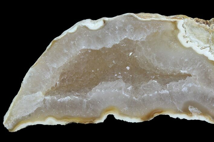 Agatized Fossil Coral Geode - Florida #97920